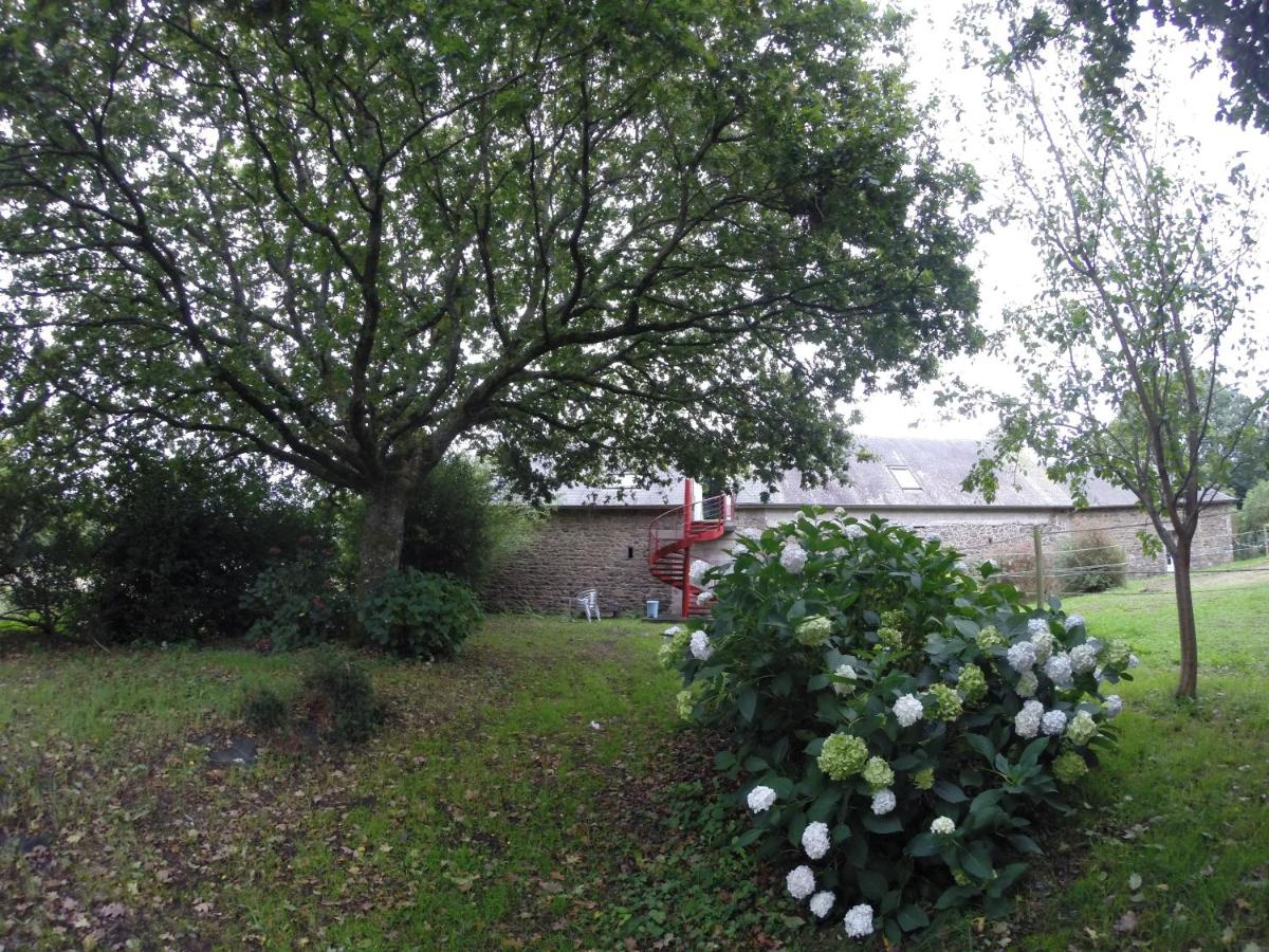 Halte nature à Briac Connemara - B&B Bourbriac