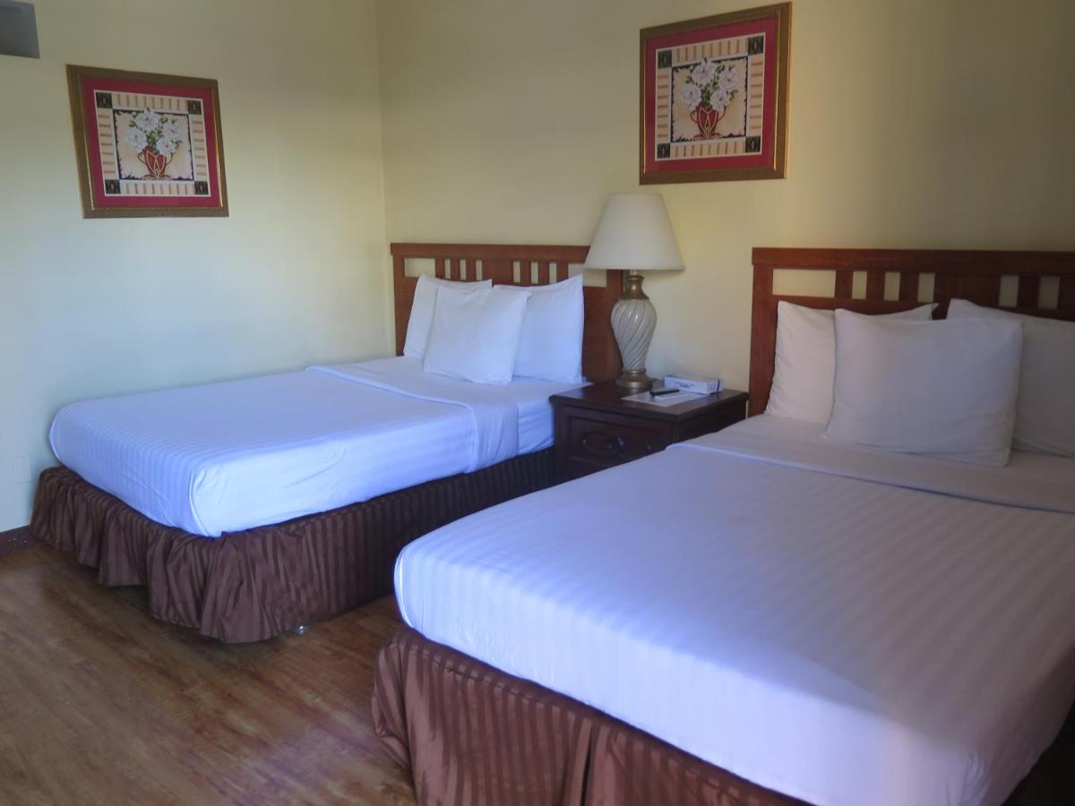 Double Room with Two Double Beds