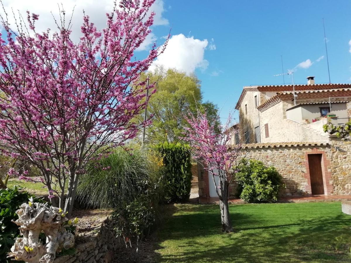 Apartament Rural La Figuera - Bed and Breakfast