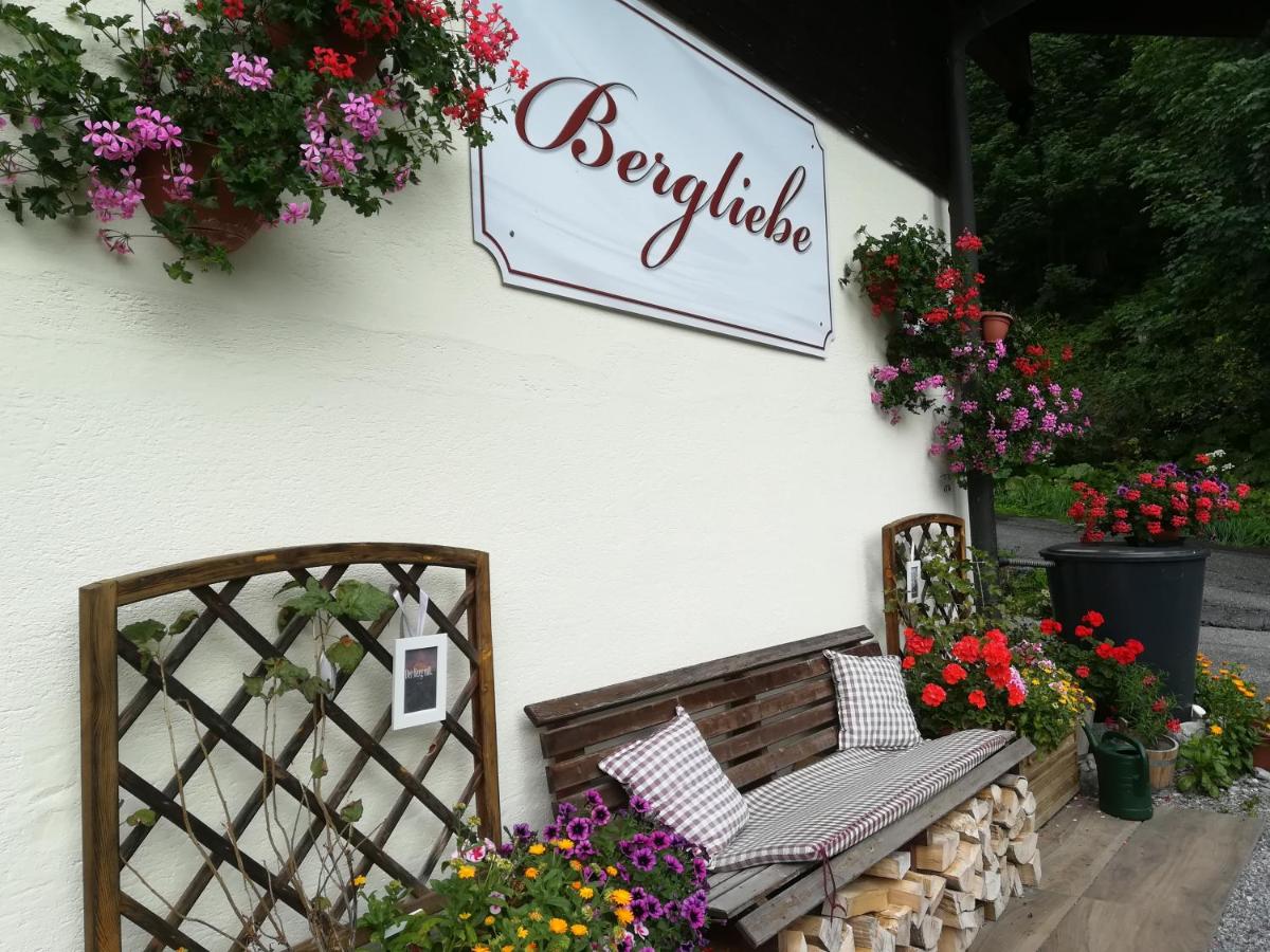 B&B Filzmoos - Haus Bergliebe - Bed and Breakfast Filzmoos