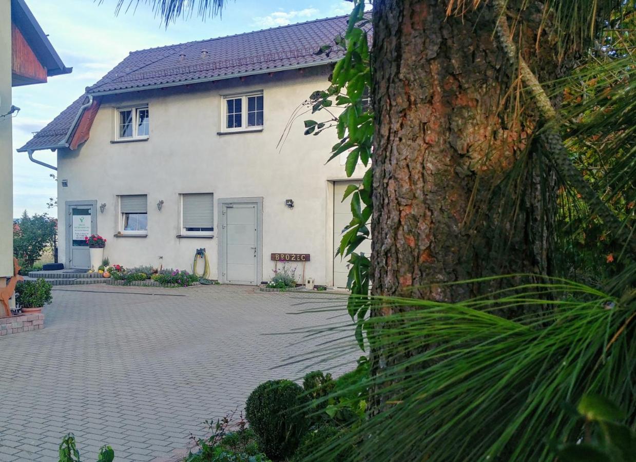 Lawendowa Galeria - B&B Krapkowice