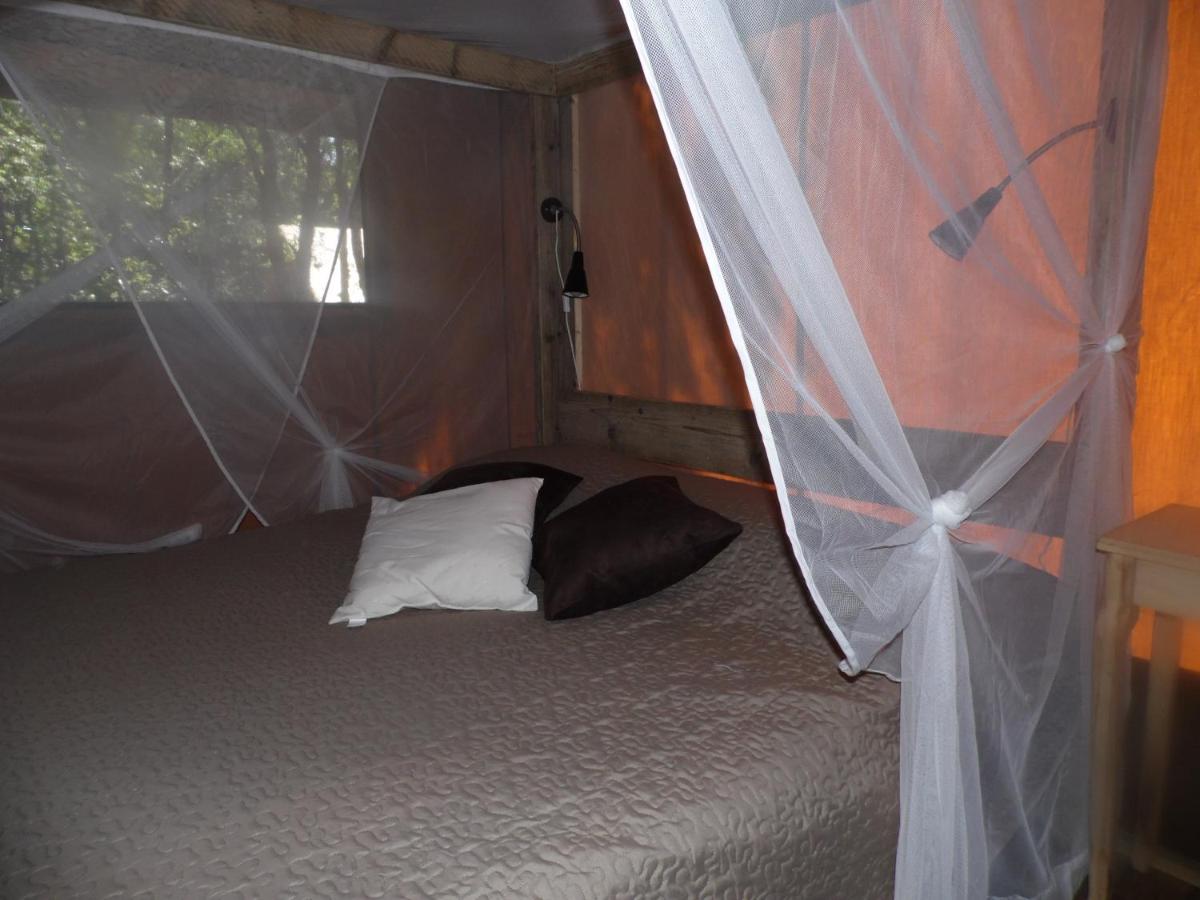 Lodge Safari 