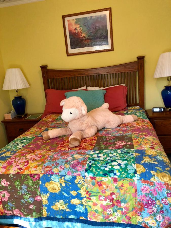 Double Room with Private Bathroom (Yellow)