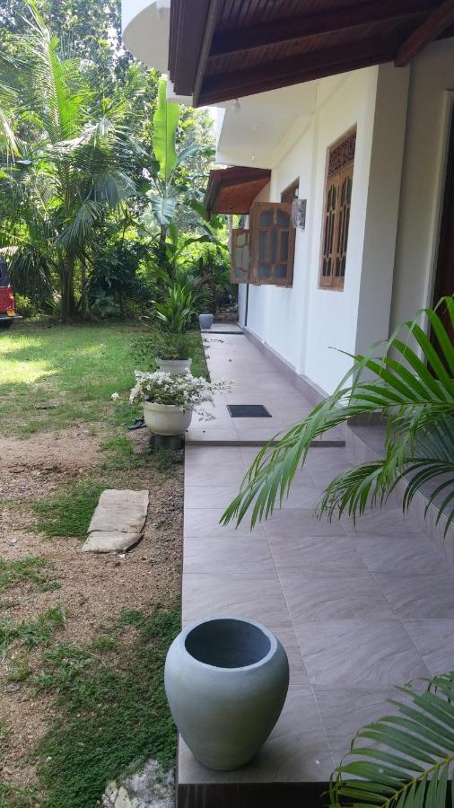 Nature Villa - B&B