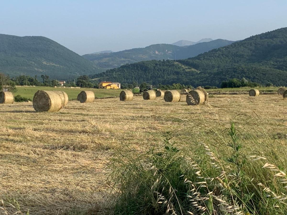 B&B zio Domenico - B&B