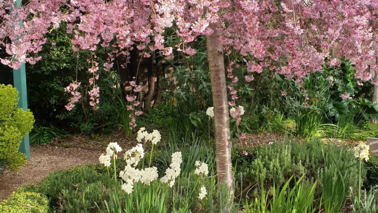 Astley Cottage - B&B Daylesford
