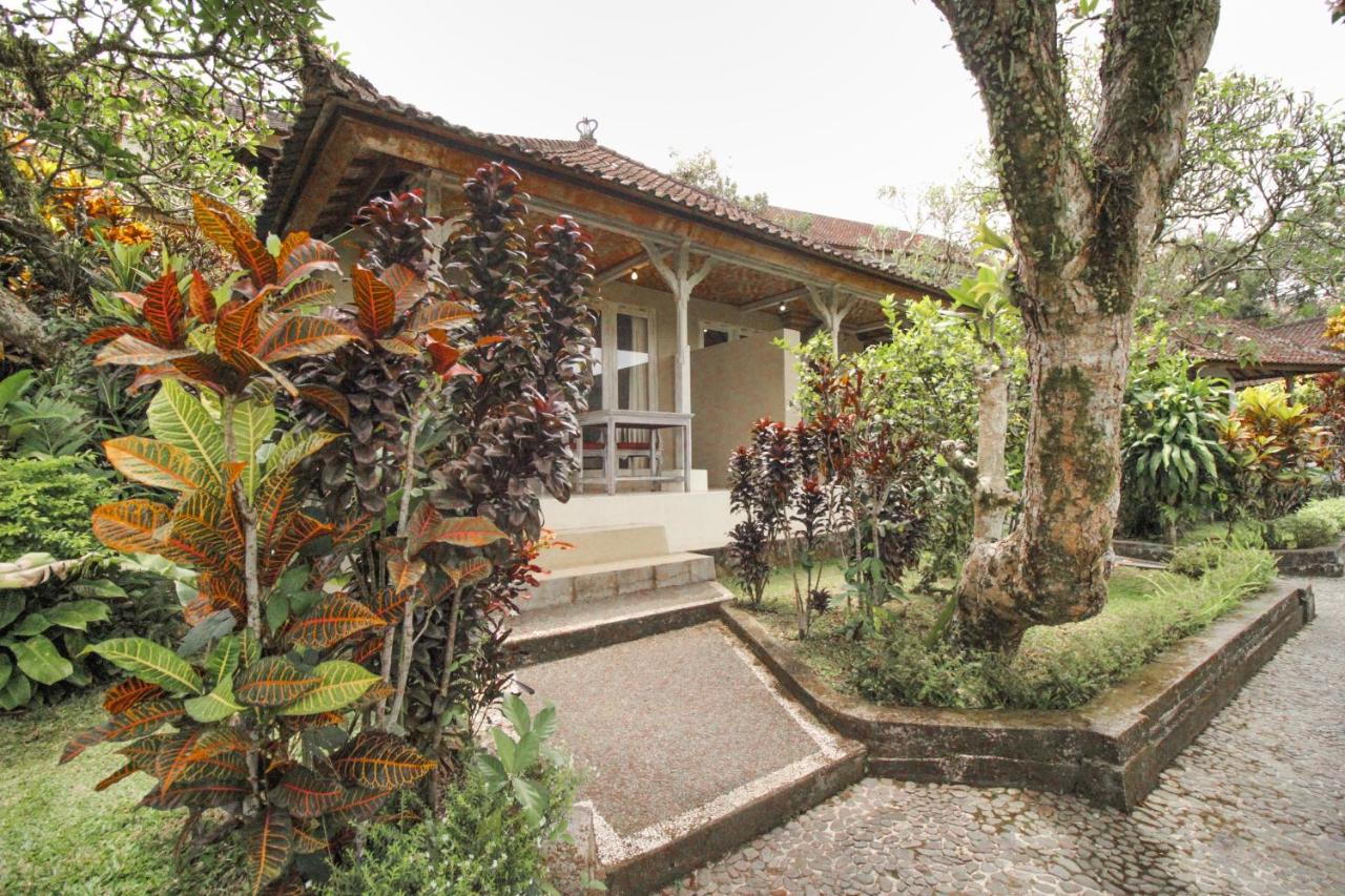 Habitación Doble Superior