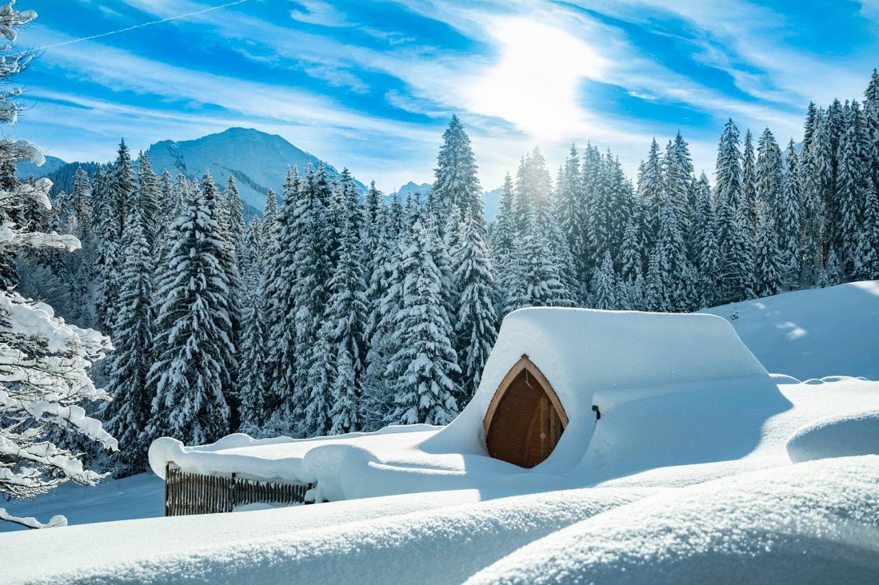 Wuerttemberger Haus - Hütte - Chambres d’hôtes Hirschegg