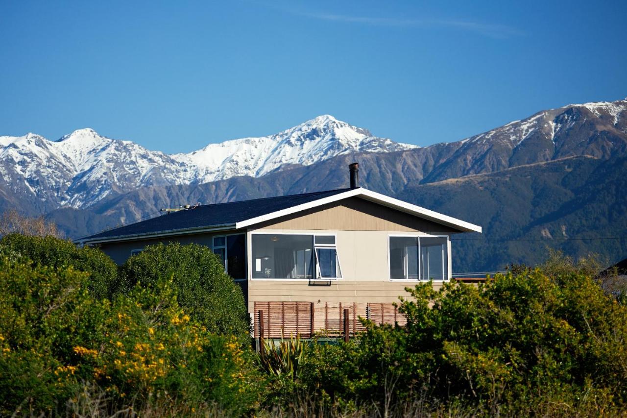 Seas The Day In Kaikoura - Book Now! - B&B