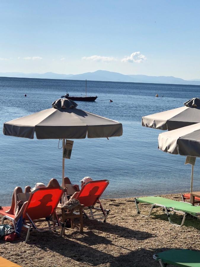Beachfront Villa Fos, Afissos,Pelion. - Ferienwohnung