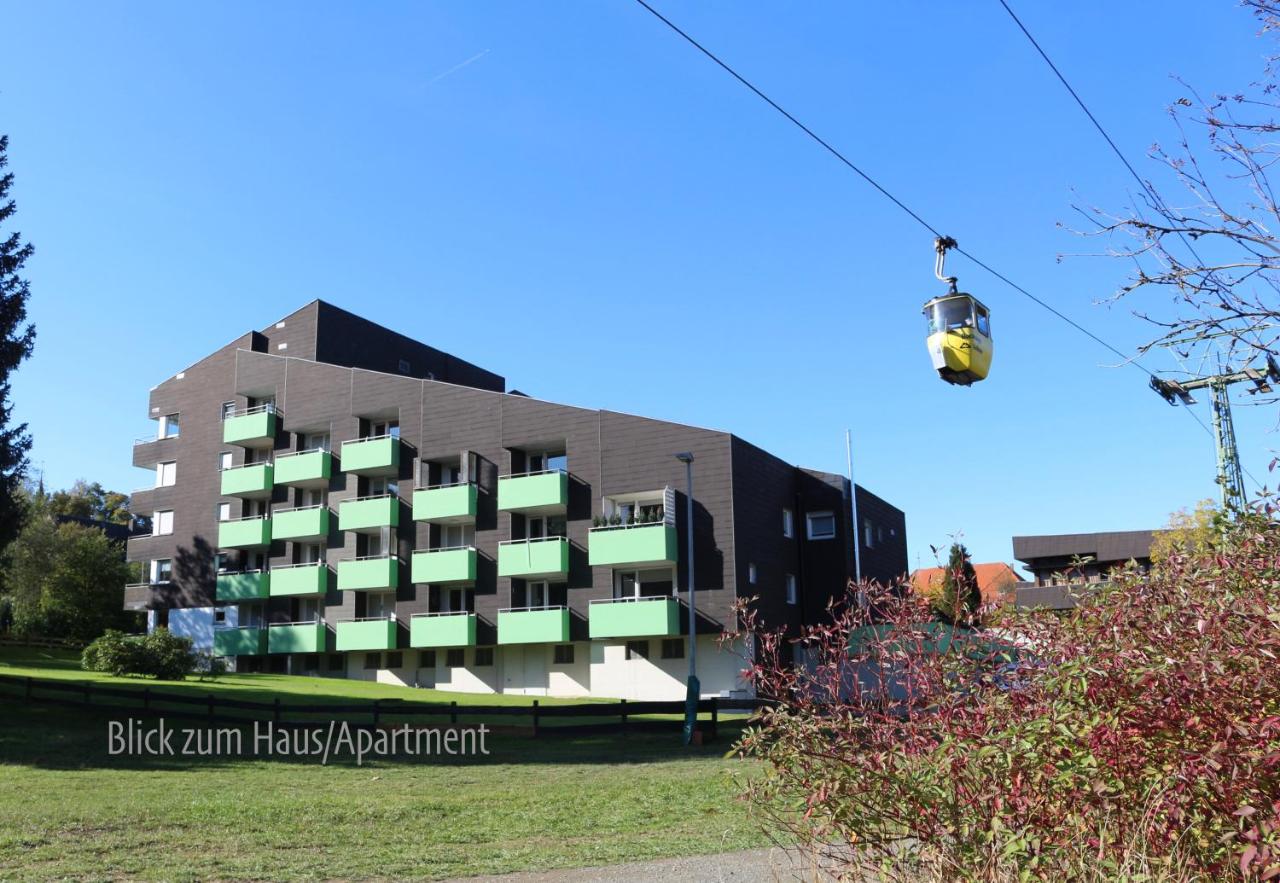 ferienapartment hahnenklee Apart 1 - Ferienwohnung