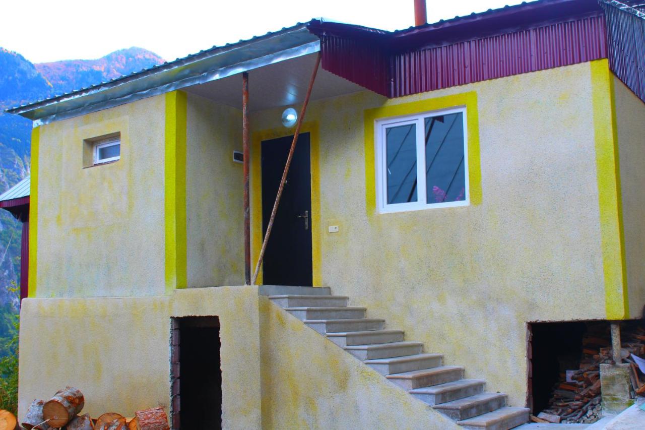 Forest - B&B Khulo