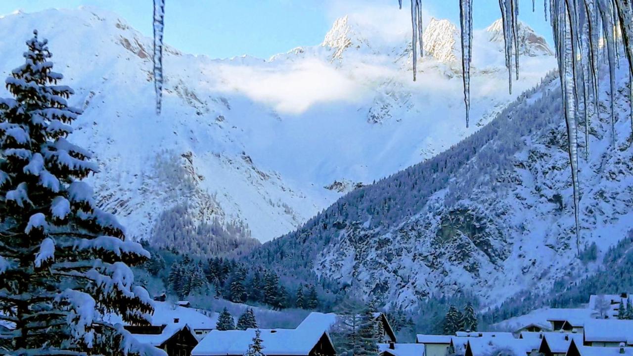 Appartamento Superior con 2 Camere da Letto 