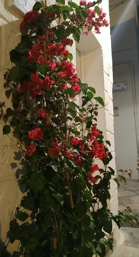 La terrazza di Gioia - B&B