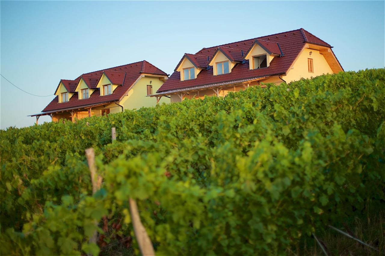 Tourist Farm Apartments Lovrec - Chambres d’hôtes