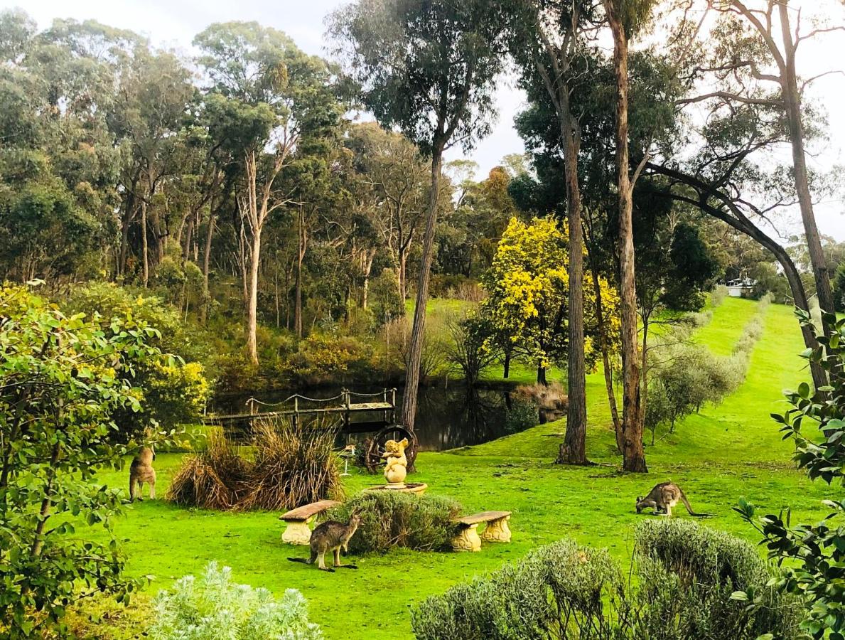 B&B Hepburn Springs - Countryside Retreat romantic tranquil native wildlife township Hepburn - Daylesford - Bed and Breakfast Hepburn Springs