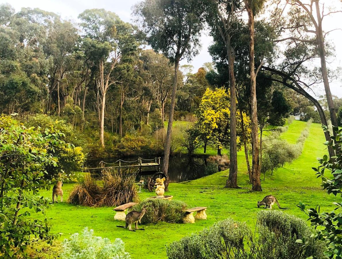 Countryside Retreat romantic tranquil native wildlife township Hepburn - Daylesford - B&B Hepburn Springs