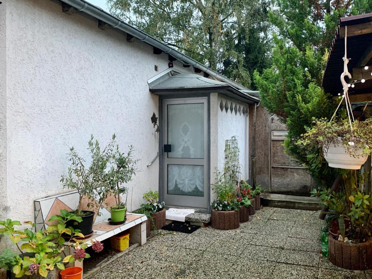 Der königliche Innengarten, frei nach Diego - B&B Mülheim