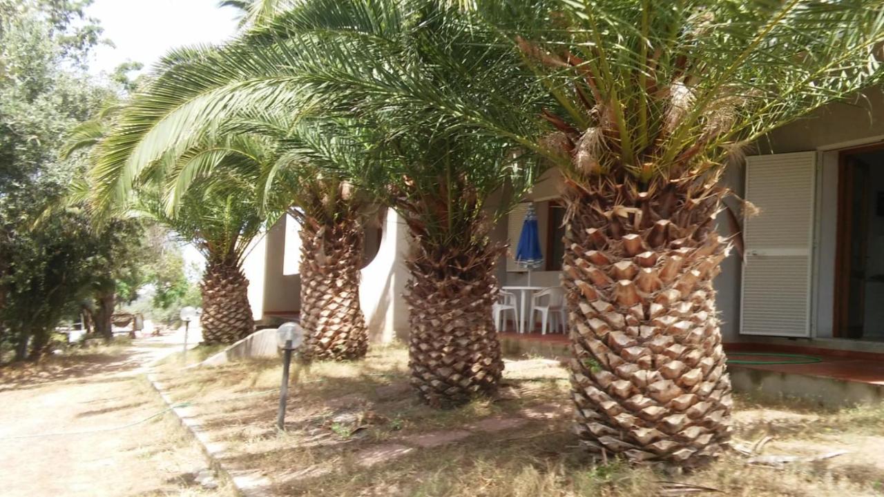 Villa del Palmeto - B&B