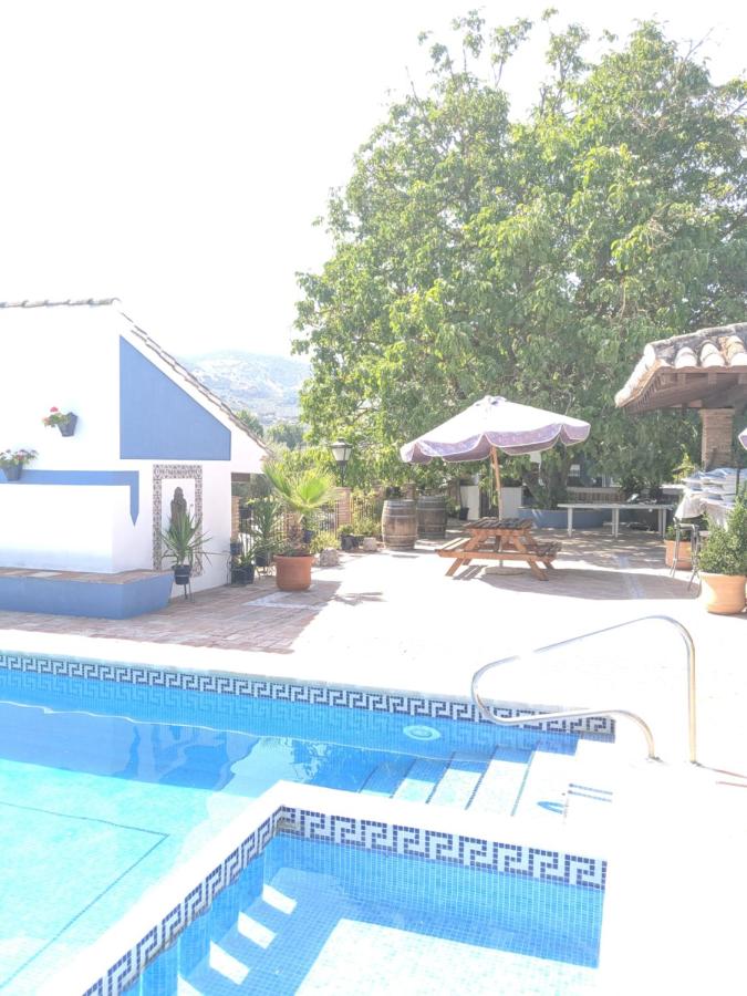 La Noguera de Baena - B&B Baena