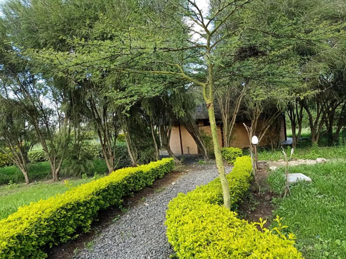 The Great Circle Lodge - B&B Nanyuki