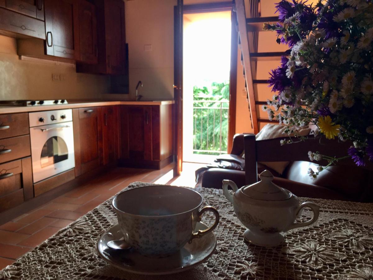 Antico Borgo dell'Anconella - rustico appartamento ideale per 2 o 3 persone - B&B