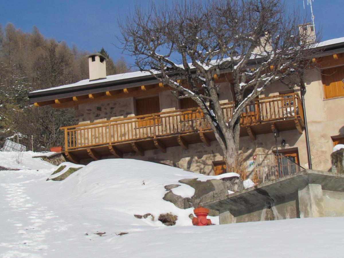 Agritur Maso Bornie - Ferienwohnung Grauno
