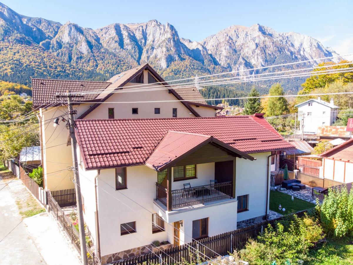Apartamente Primaverii - B&B