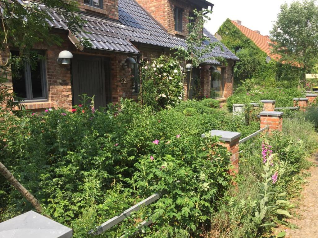 Große Wohnung / Haushälfte in Peetzig am See - B&B