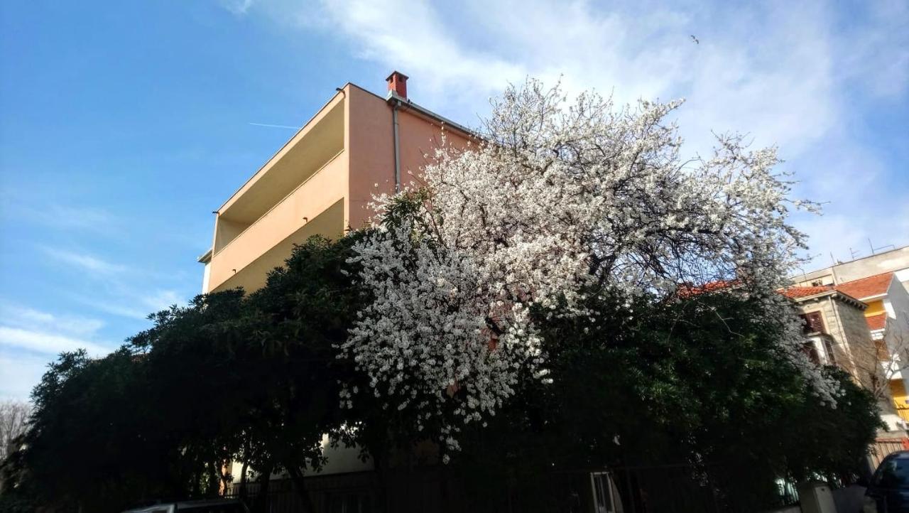 Split Symphony Veranda: Modern, new Apartment (4+1), 5 min walk to ˝Firule˝ SAND BEACH, 12 min walk to CITY CENTER - Bed and Breakfast Split