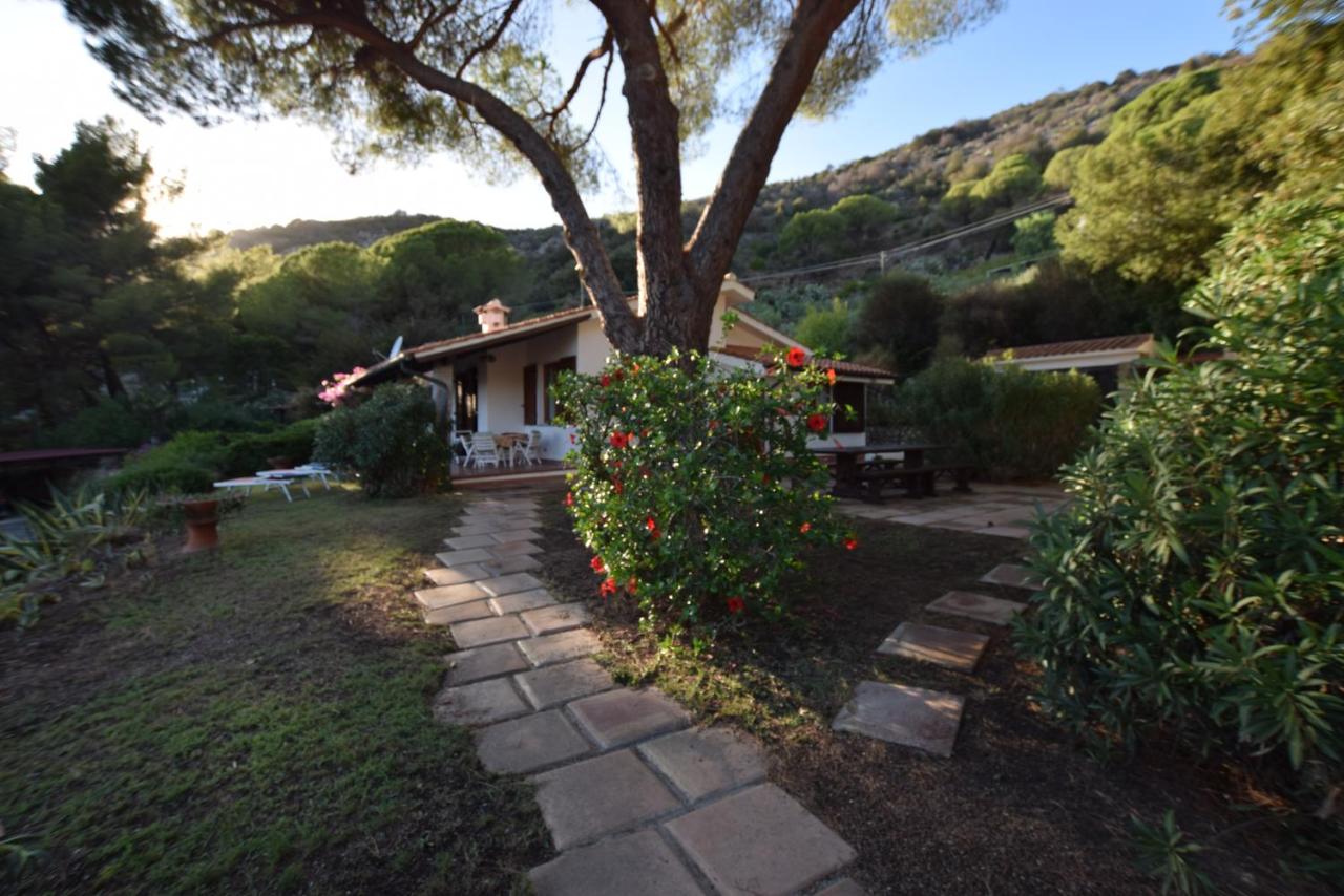 Villetta Palombaia - B&B