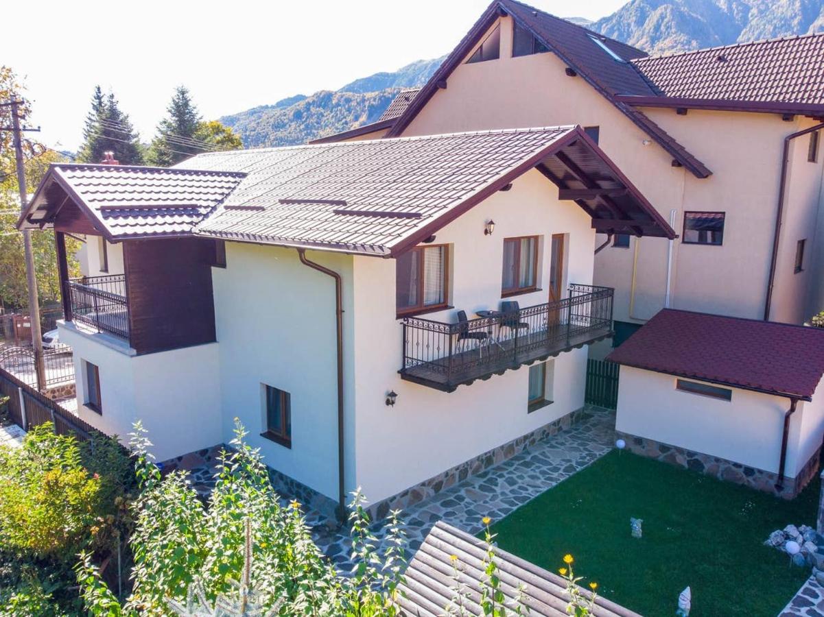 Apartamente Primaverii 2 - B&B