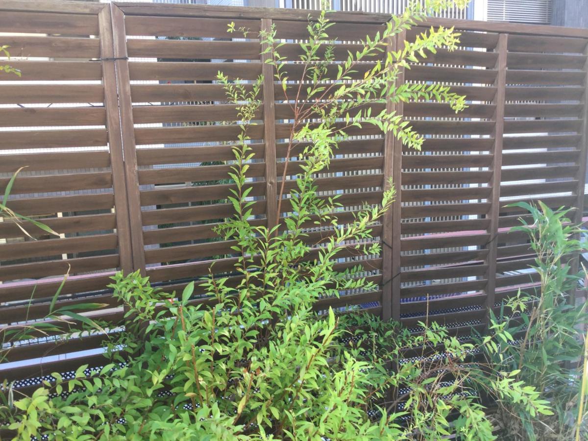 Zweibettzimmer mit Terrasse