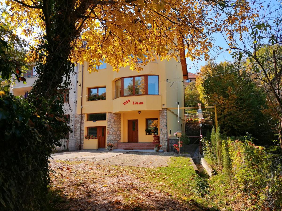 Vila Liana - B&B