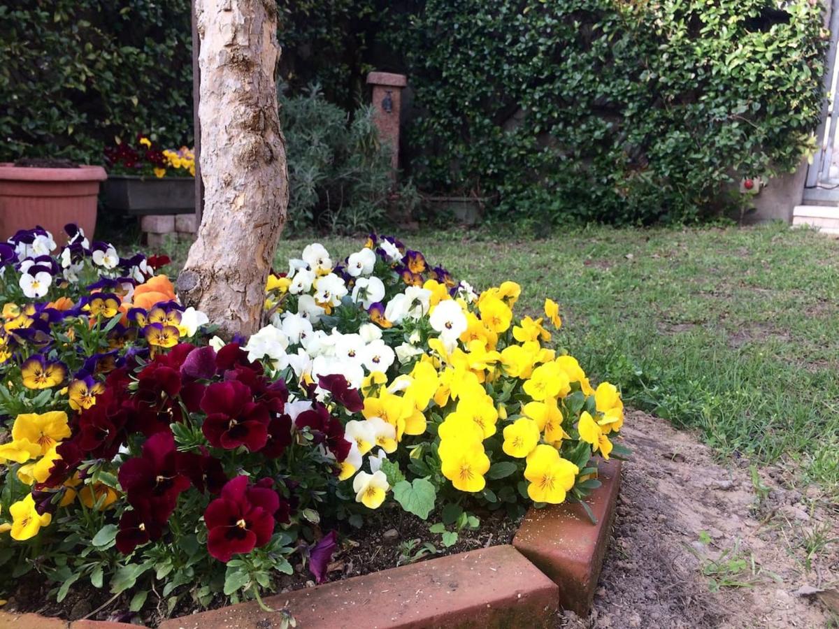 Casa con vista Forte - tra lago e monti - Chambres d’hôtes Rivoli Veronese