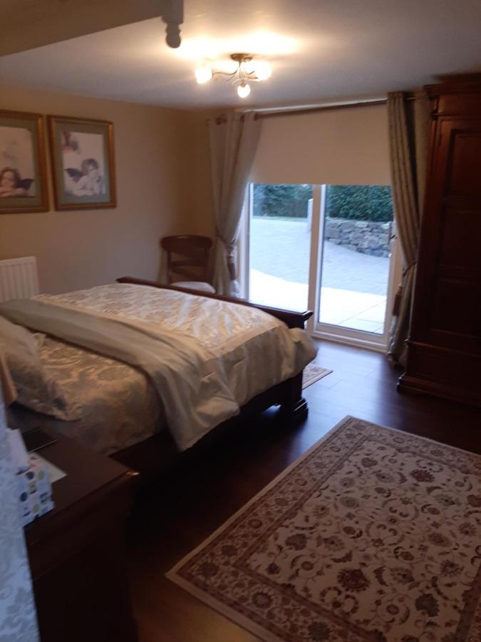 Ampia Suite con 1 Camera da Letto (2 Adulti)