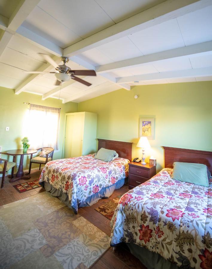 Standaard Kamer met 2 Aparte Bedden