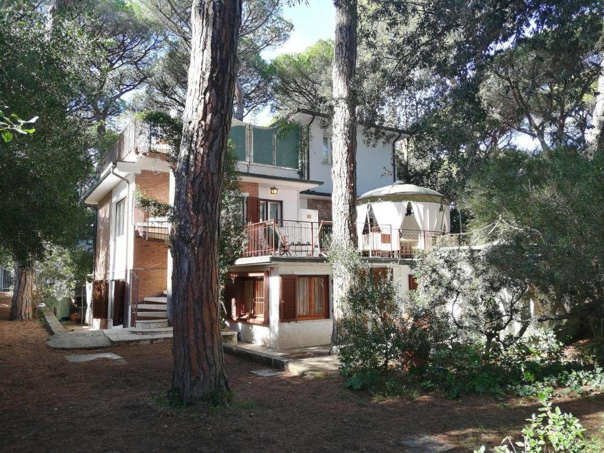 Vacanze Toscane In The Seaside - Ferienwohnung