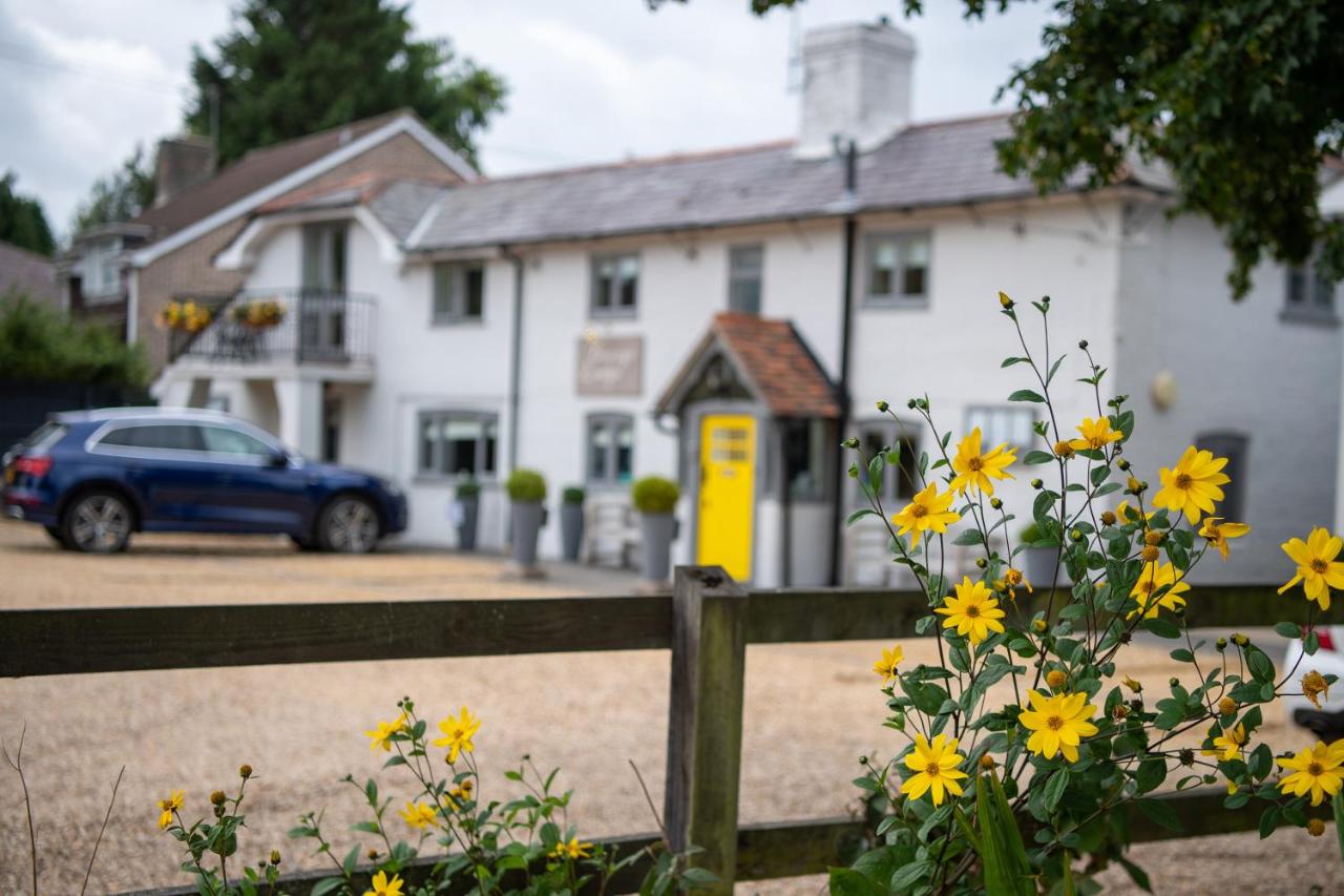 B&B Brockenhurst - Cottage Lodge Hotel - Bed and Breakfast Brockenhurst