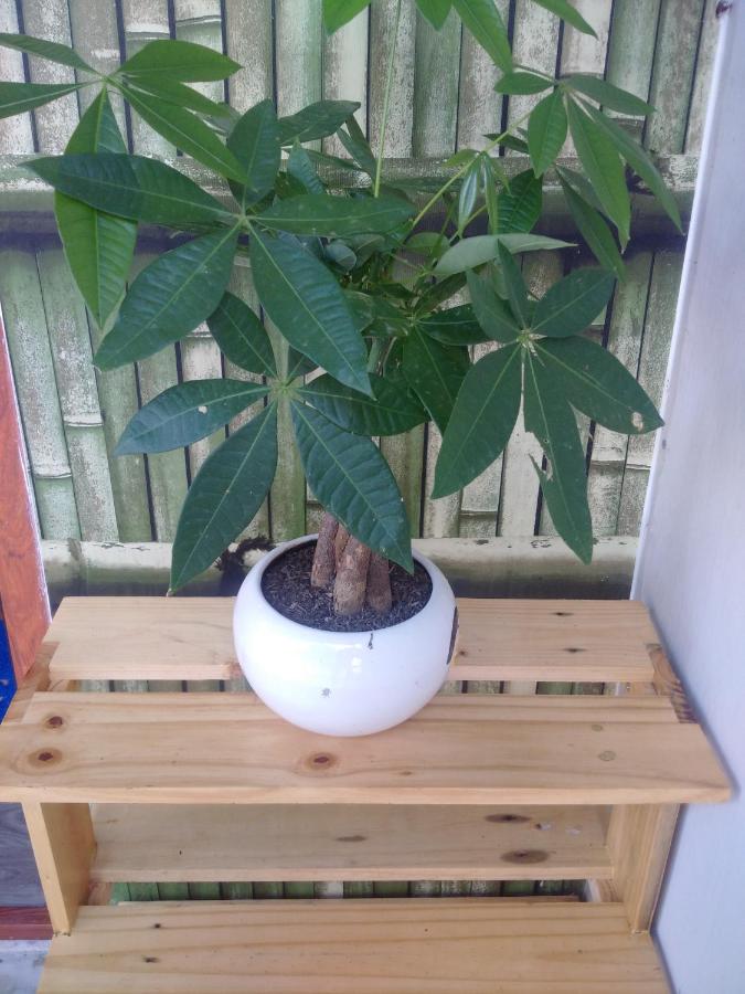 Doppelzimmer mit Terrasse