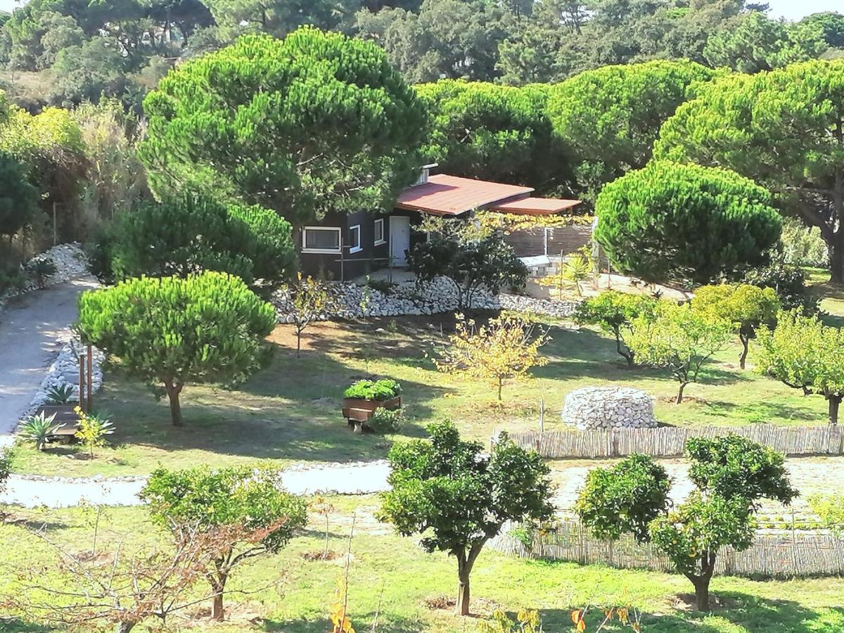 Quinta do Meco - Beach & Nature - Ferienwohnung
