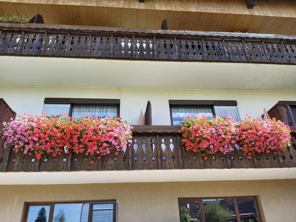 Gästehaus Gitti Dorner - B&B Hittisau