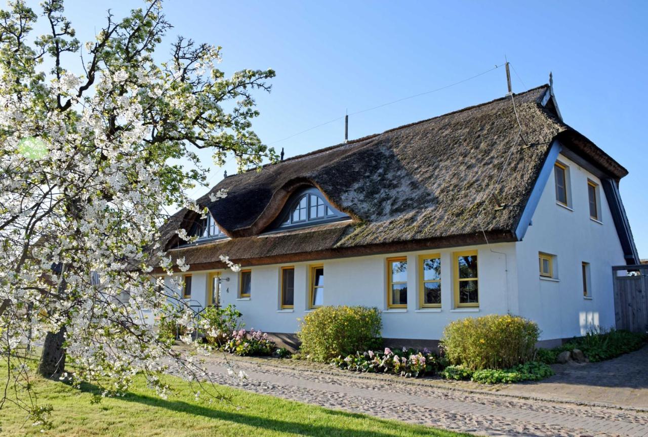 B&B Neu Reddevitz - Ferienwohnungen im Fischerdorf und - Bed and Breakfast Neu Reddevitz