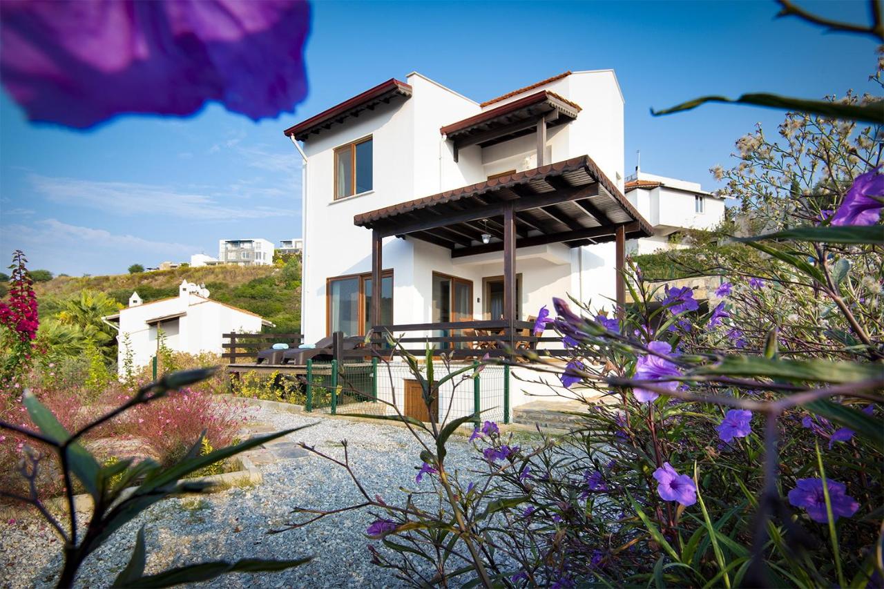 Bodrum sea view villa with access to private beach - B&B