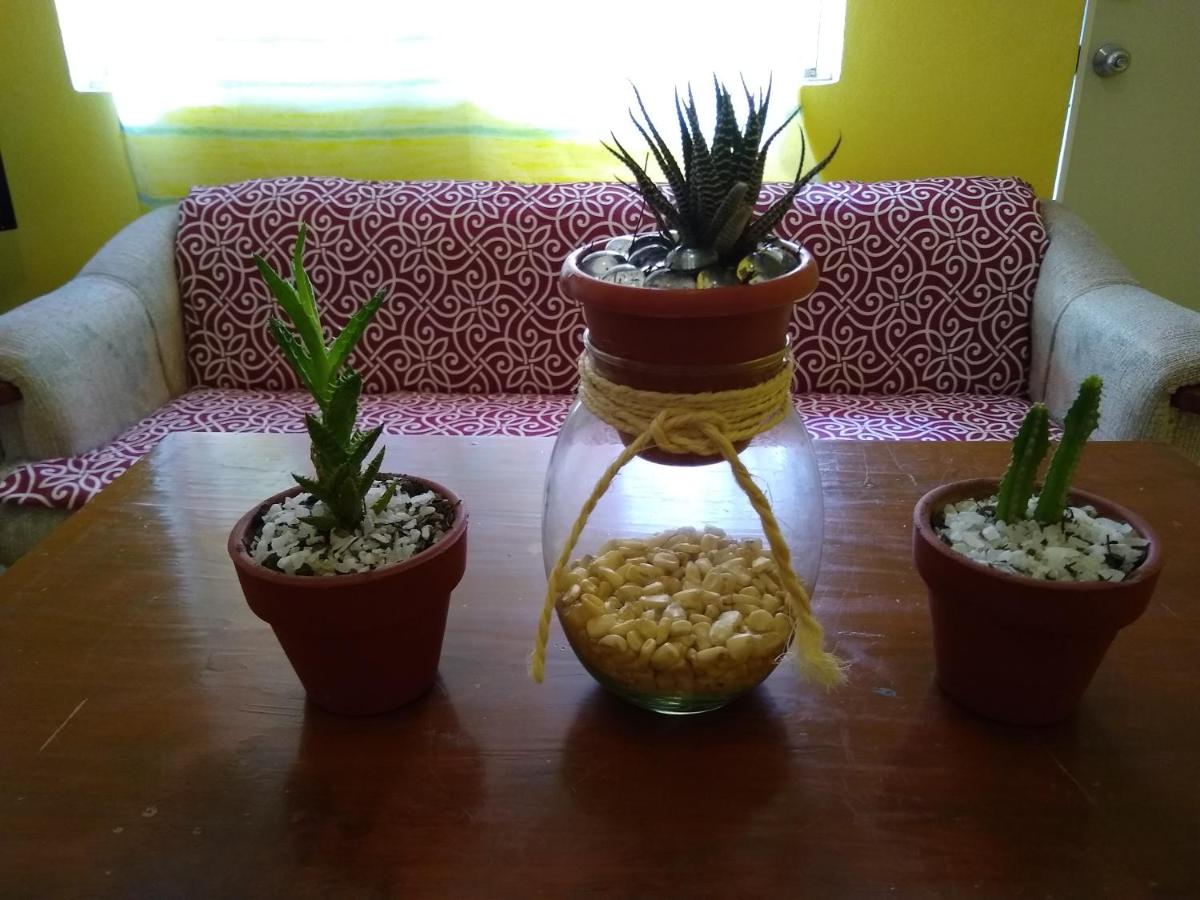 Departamento Valentina - B&B