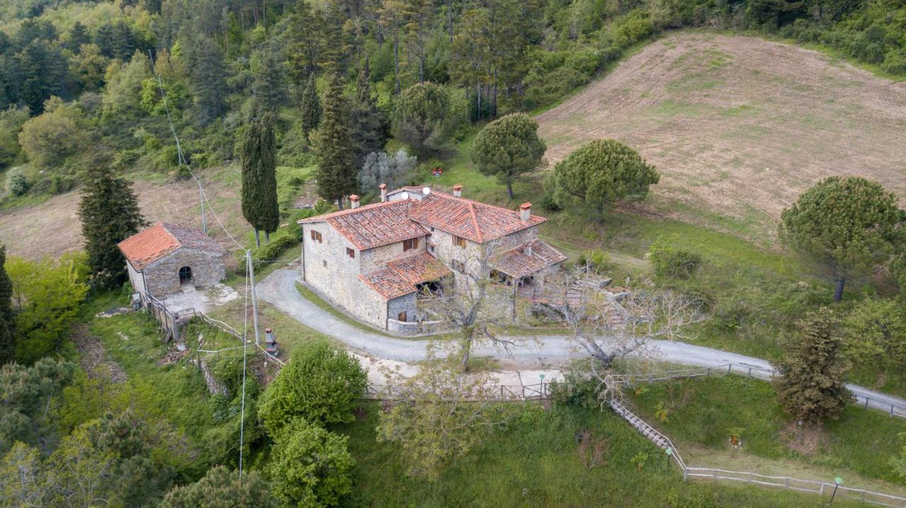 B&B Pontassieve - Fattoria di Cintoia - Bed and Breakfast Pontassieve