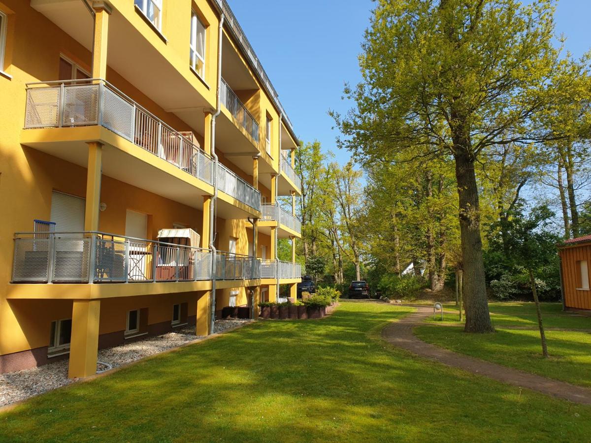 One-Bedroom Apartment 4