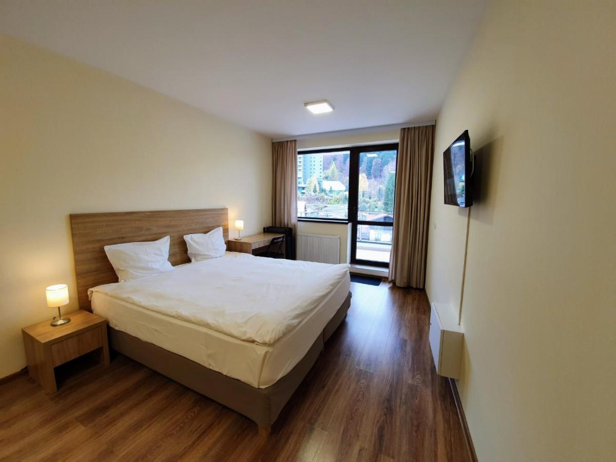 B&B Sinaia - Studio Mountain View - Bed and Breakfast Sinaia