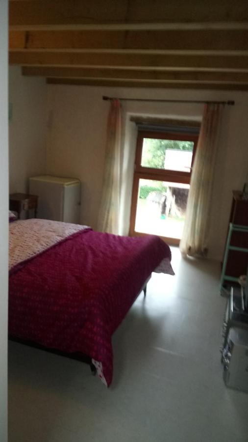 Le Clos Doré Parc - B&B Bains-sur-Oust