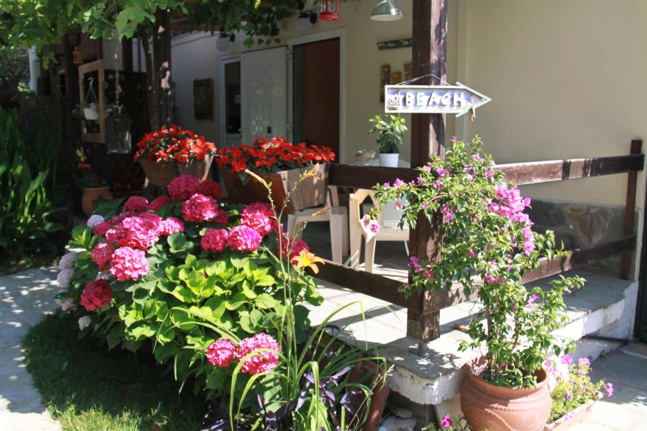 Fasoli Studios - B&B
